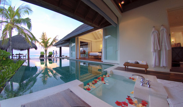 работать негры